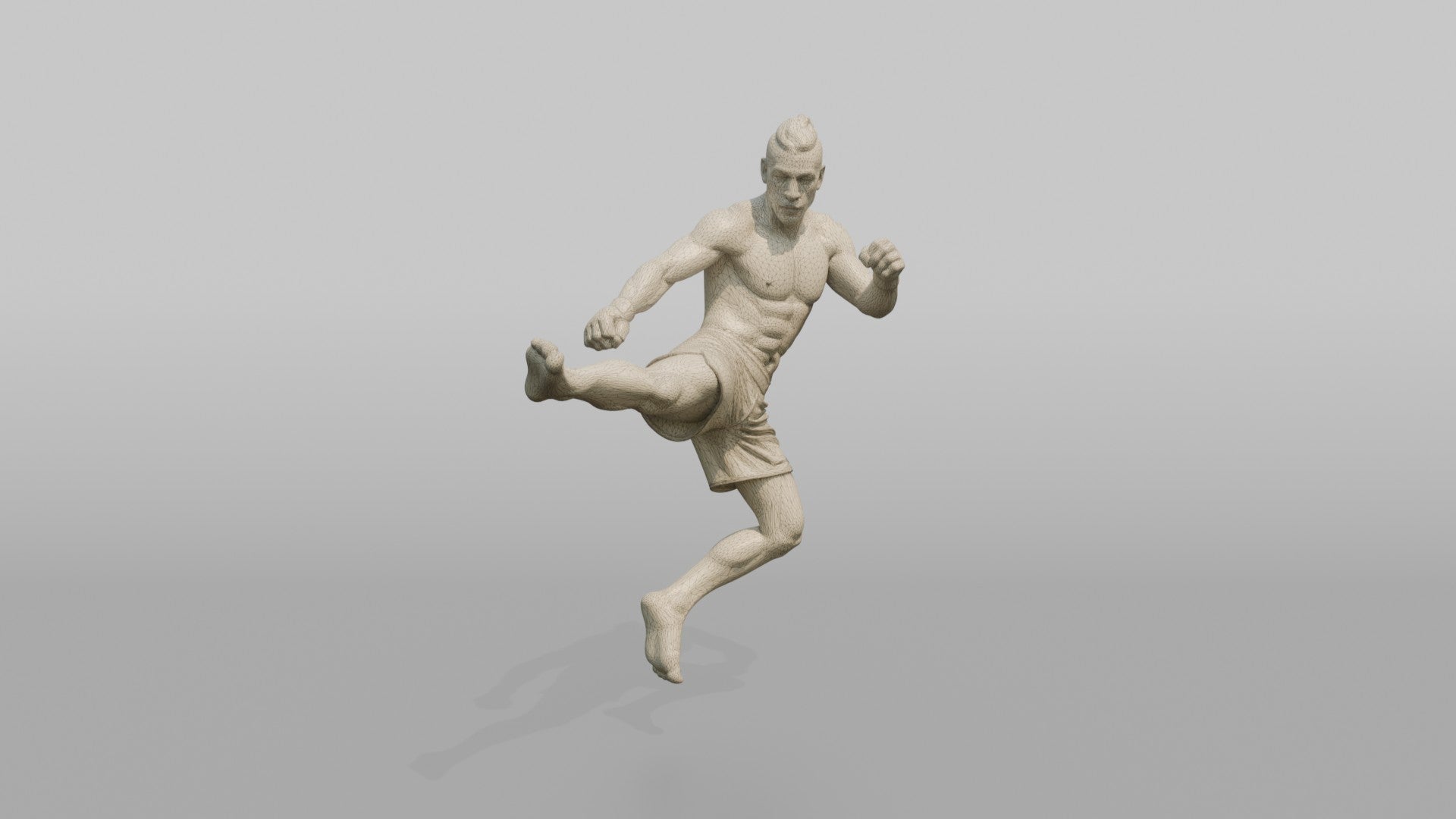 MMA Fighter Spinning Heel Kick