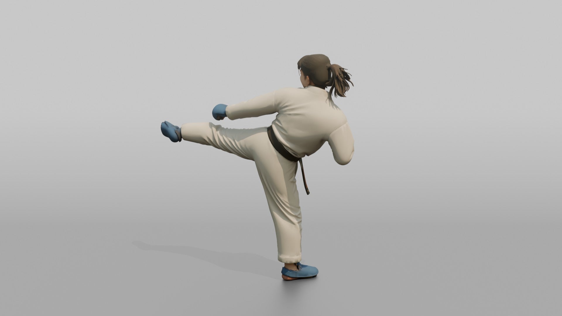 Karate Fighter Explosive Roundhouse Kick to the Torso