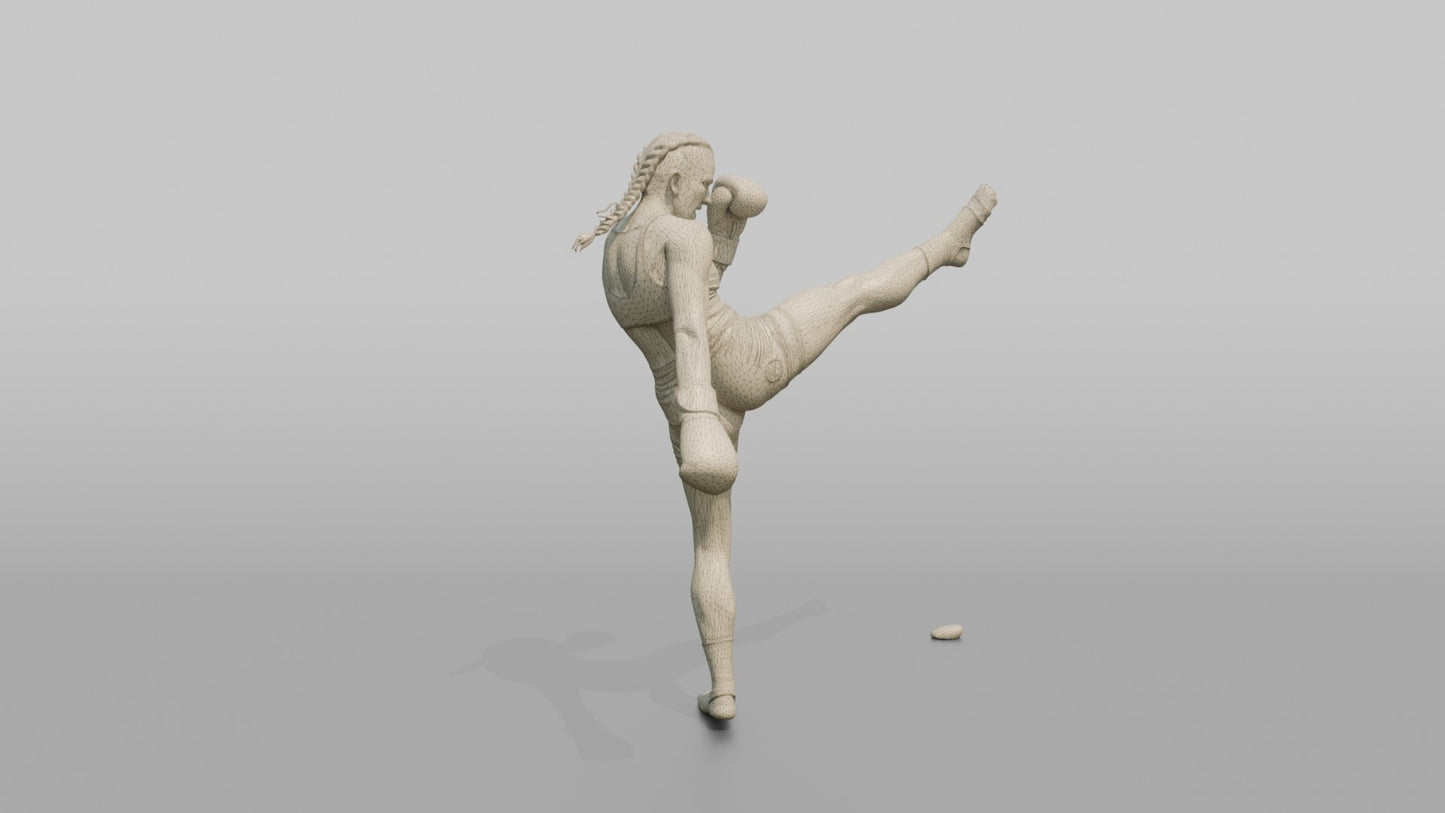 Kickboxer High Front Push Kick