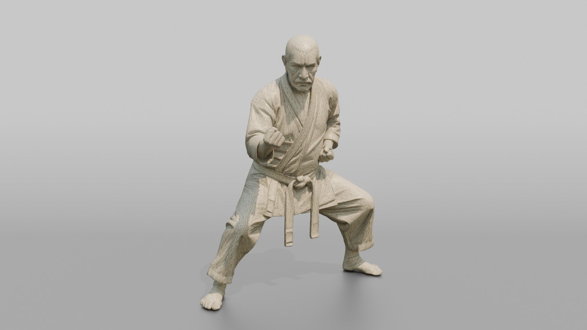 Karate Master Cat Stance