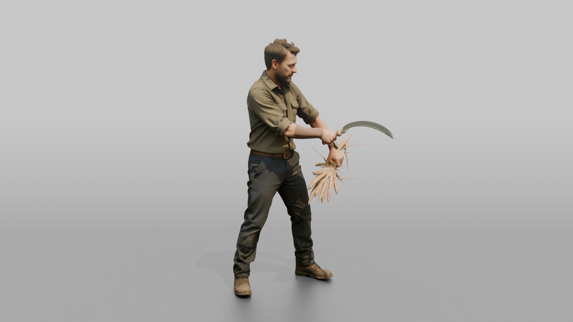 Farmer Slicing Wheat Stalks Hand Sickle