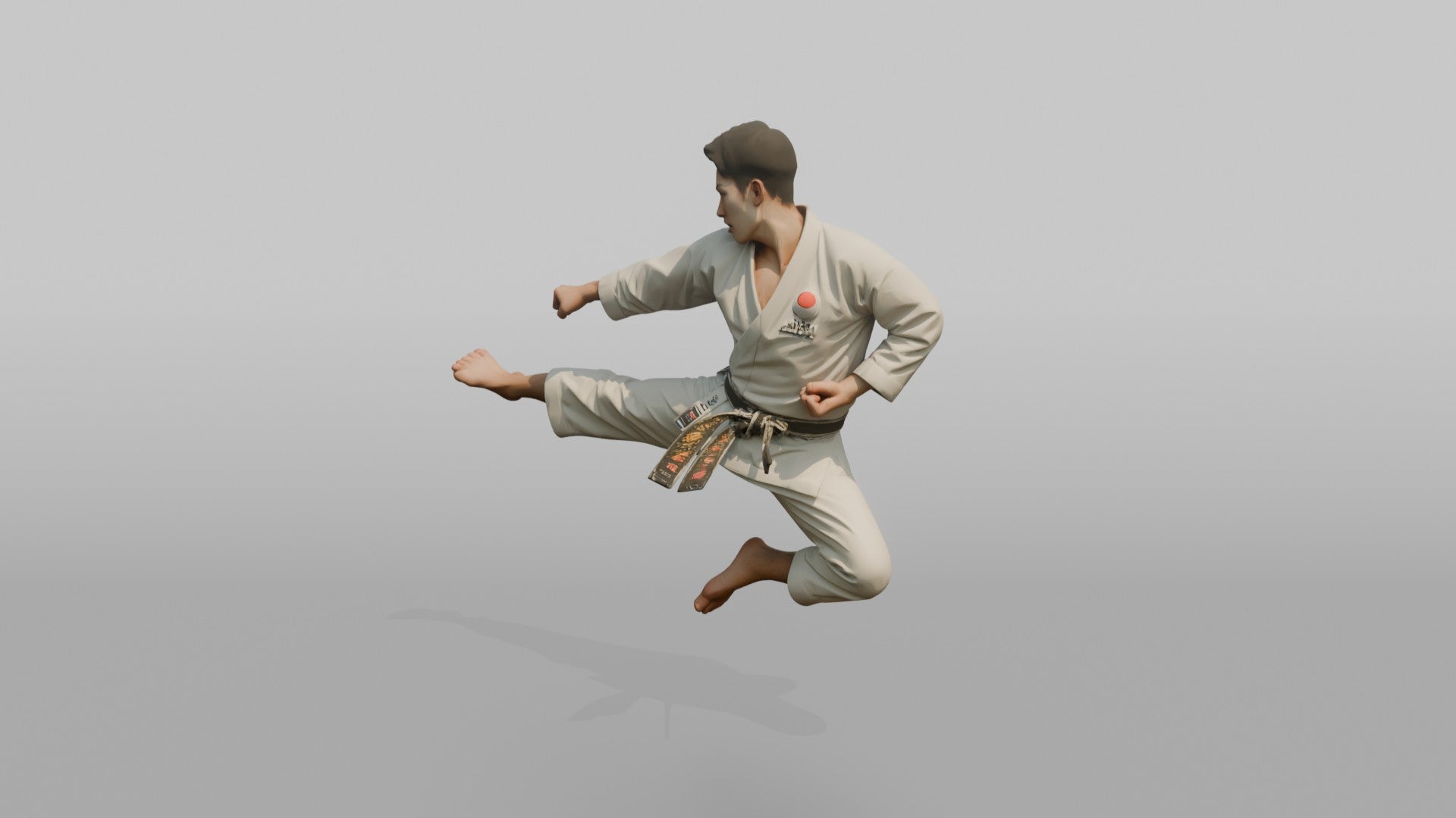 Karate Master Sharp Mid-air Flying Side Kick