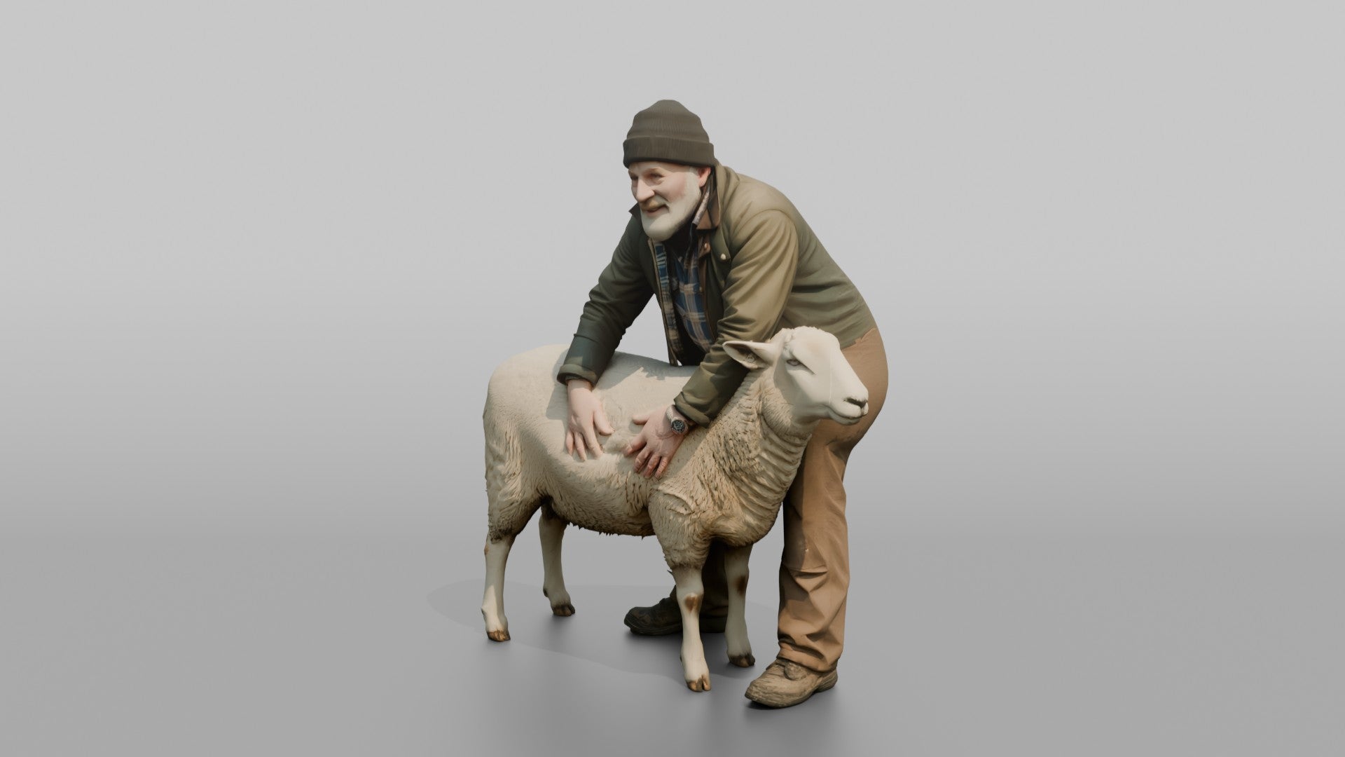 Farmer Checking Sheep's Wool Density