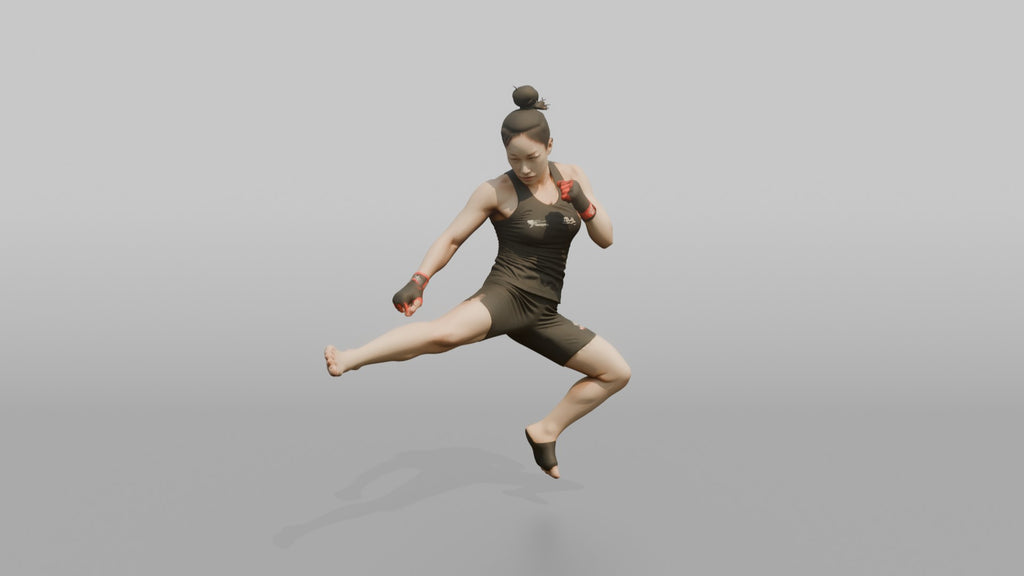 Taekwondo Fighter Jumping Spinning Hook Kick