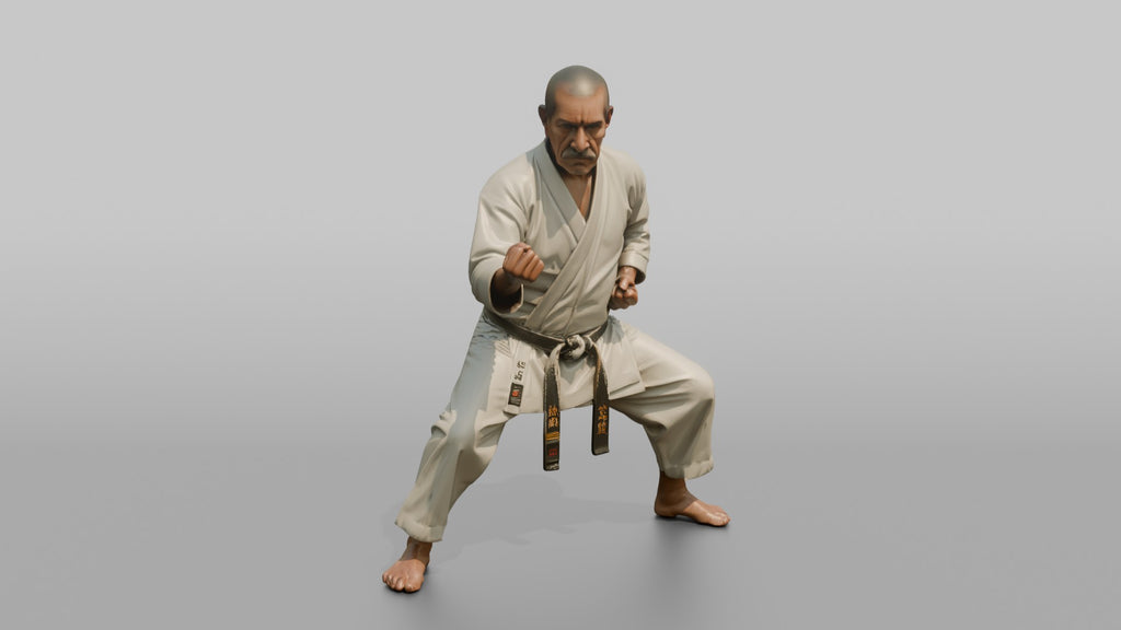 Karate Master Cat Stance