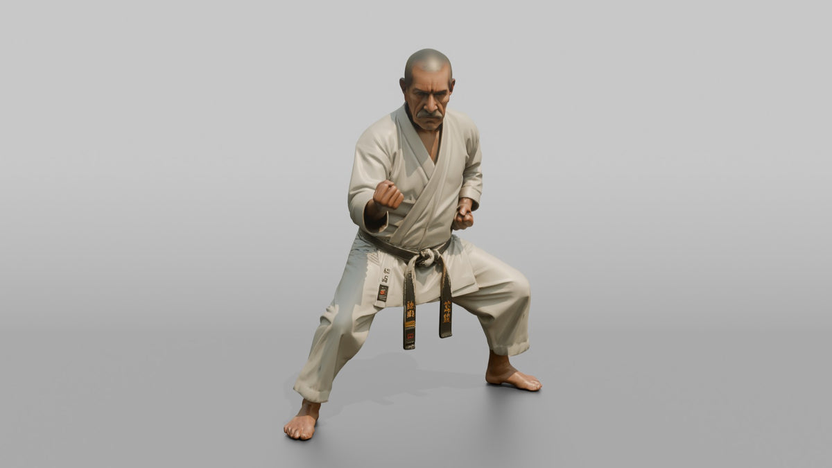 Karate Master Cat Stance - 3D character model, view 1
