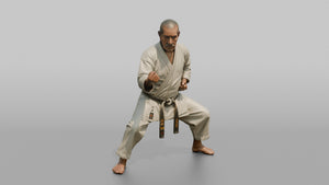 Karate Master Cat Stance - 3D character model, view 1