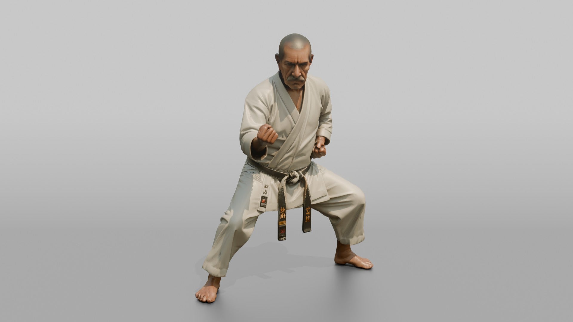 Karate Master Cat Stance