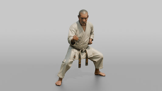 Karate Master Cat Stance - 3D character model, view 1