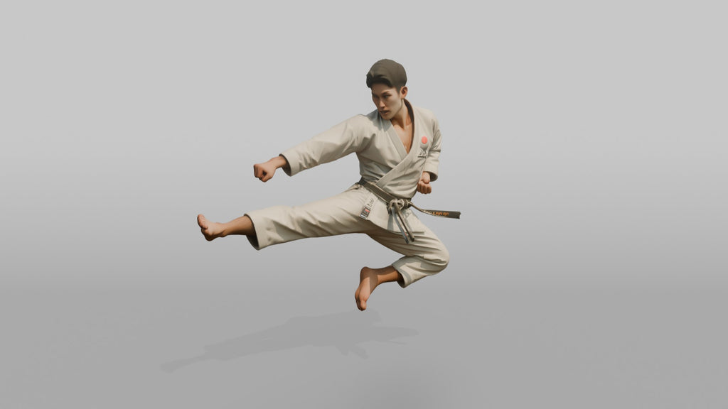 Karate Master Sharp Mid-air Flying Side Kick