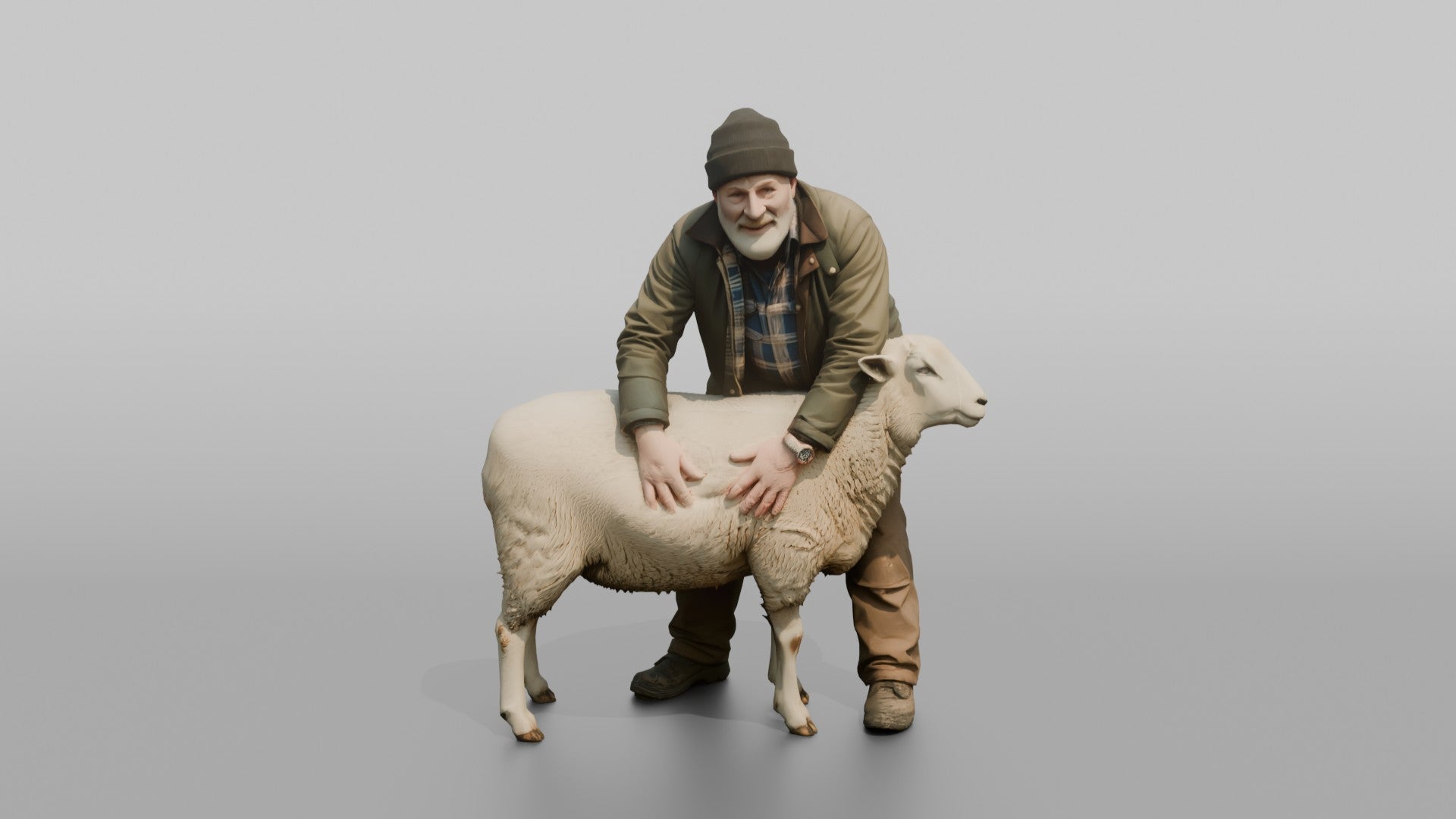 Farmer Checking Sheep's Wool Density