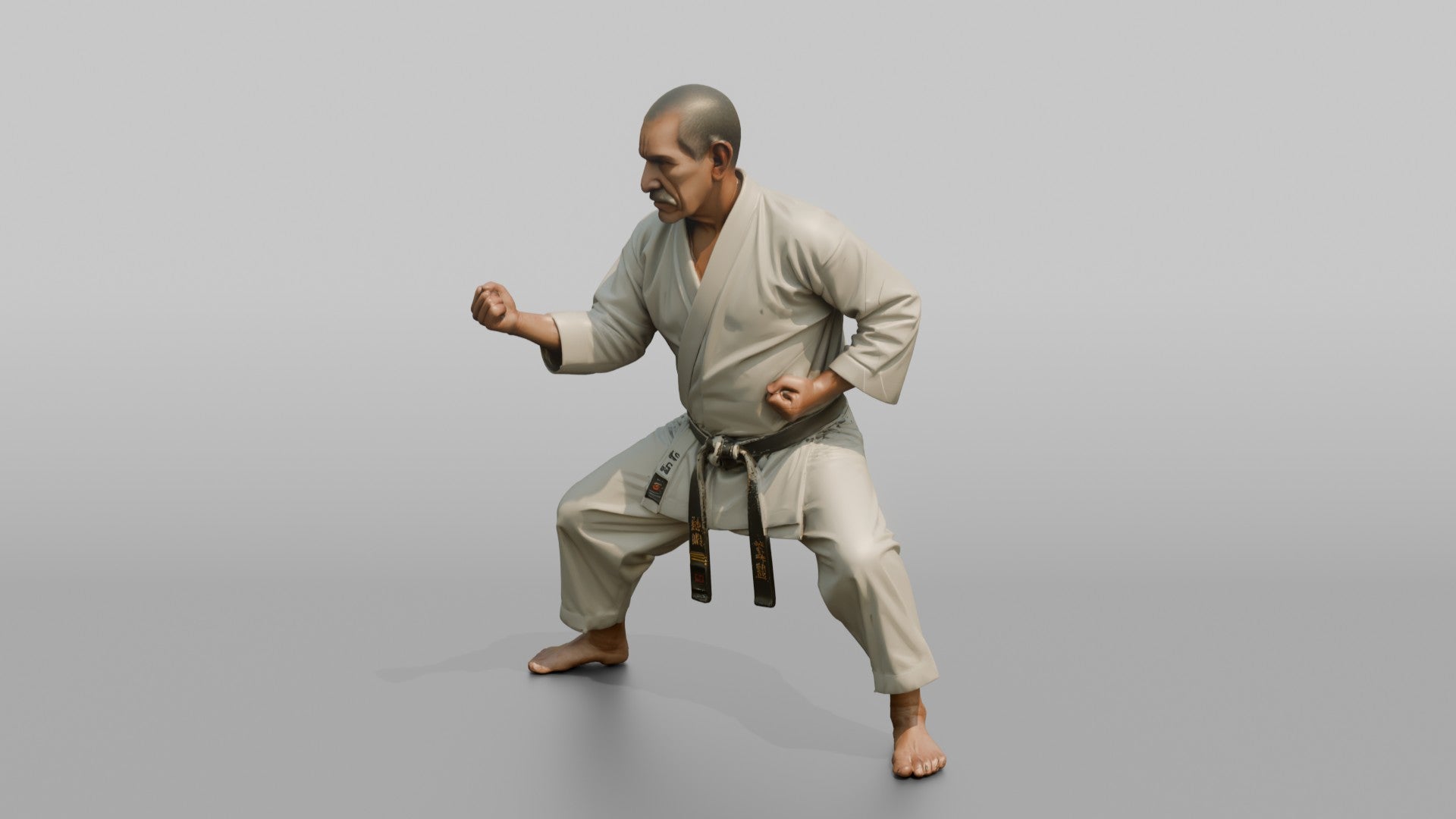 Karate Master Cat Stance