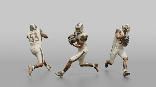 Cornerback Intercepting a Pass