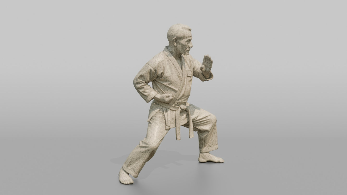 Karate Master Knife-Hand Block