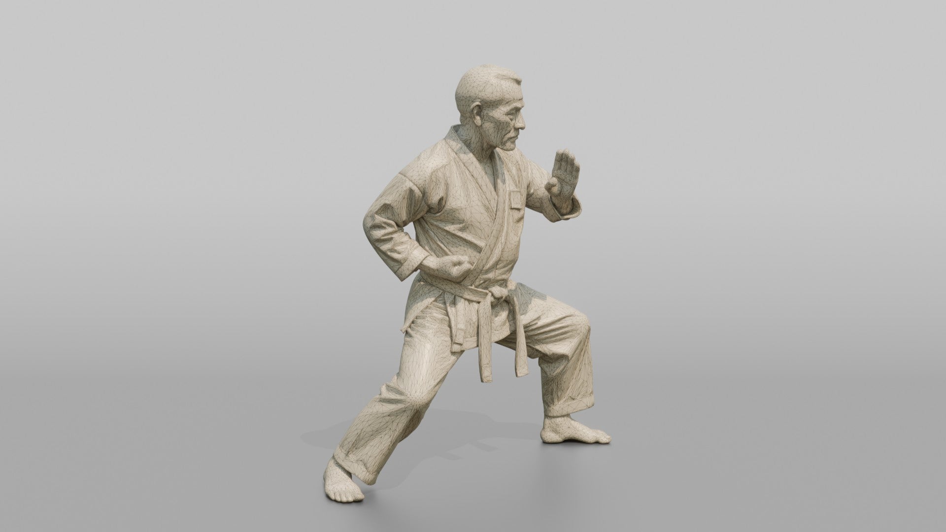Karate Master Knife-Hand Block