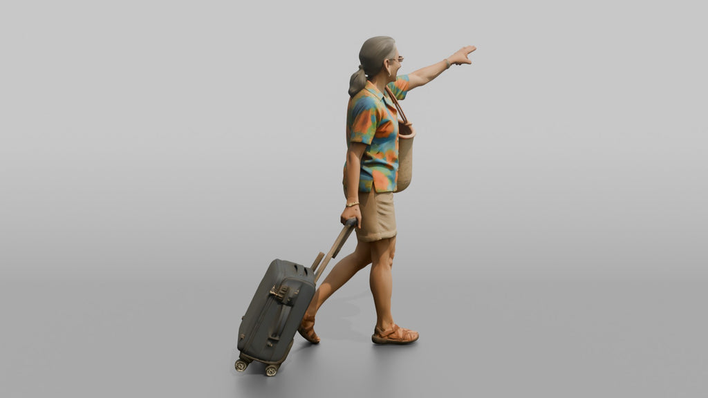Traveler Pointing Toward The Gate