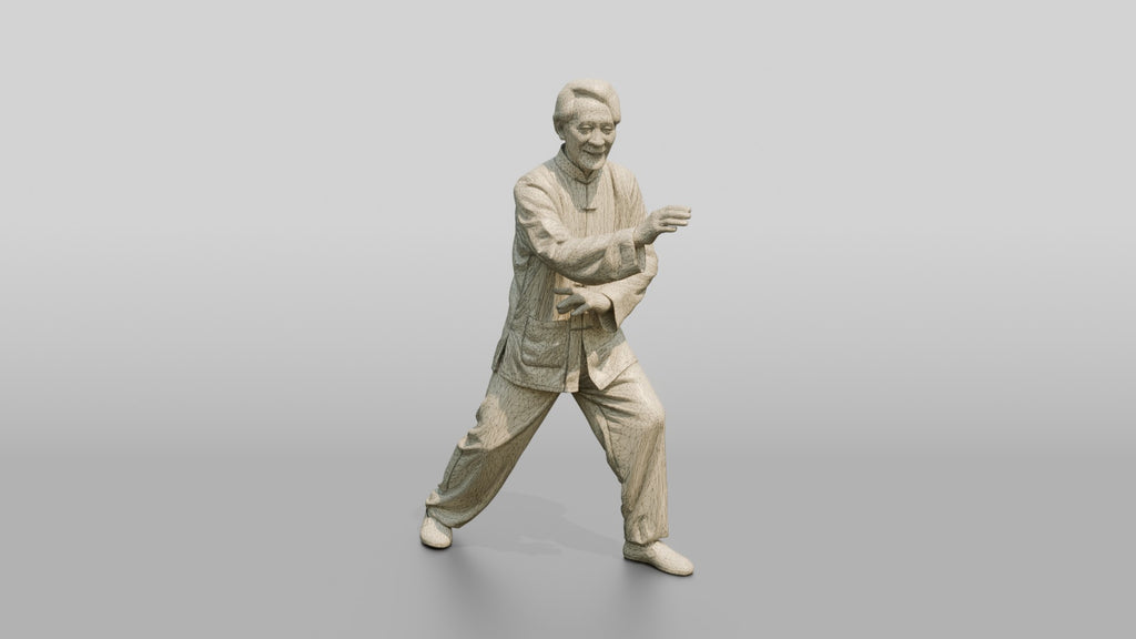 Elderly Chinese Man Practicing Tai Chi