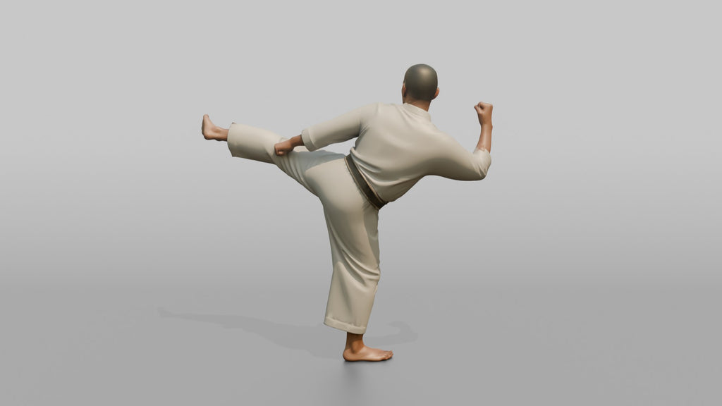 Karate Fighter Spinning Back Kick