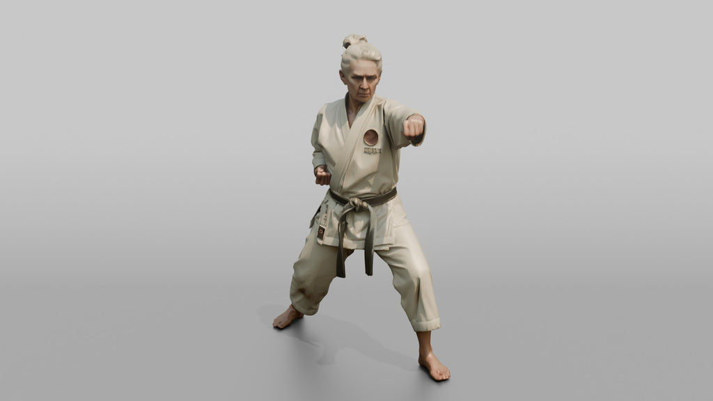 Karate Sensei Explosive Reverse Punch