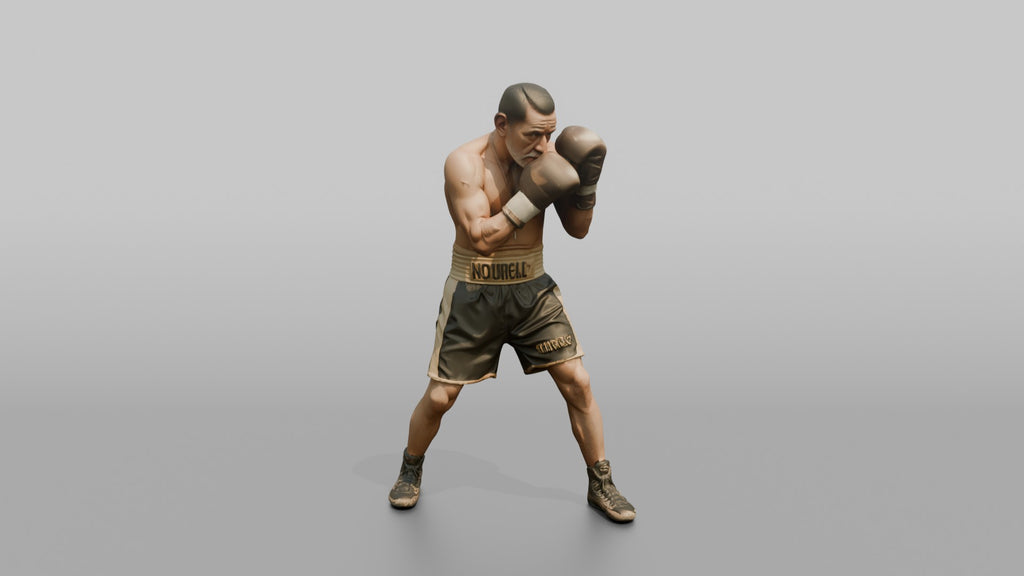 Boxer Tight High-guard Defense Position