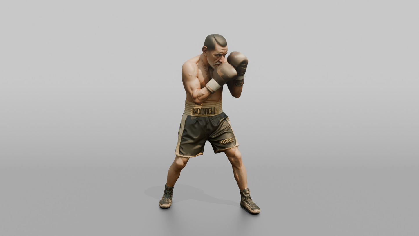 Boxer Tight High-guard Defense Position