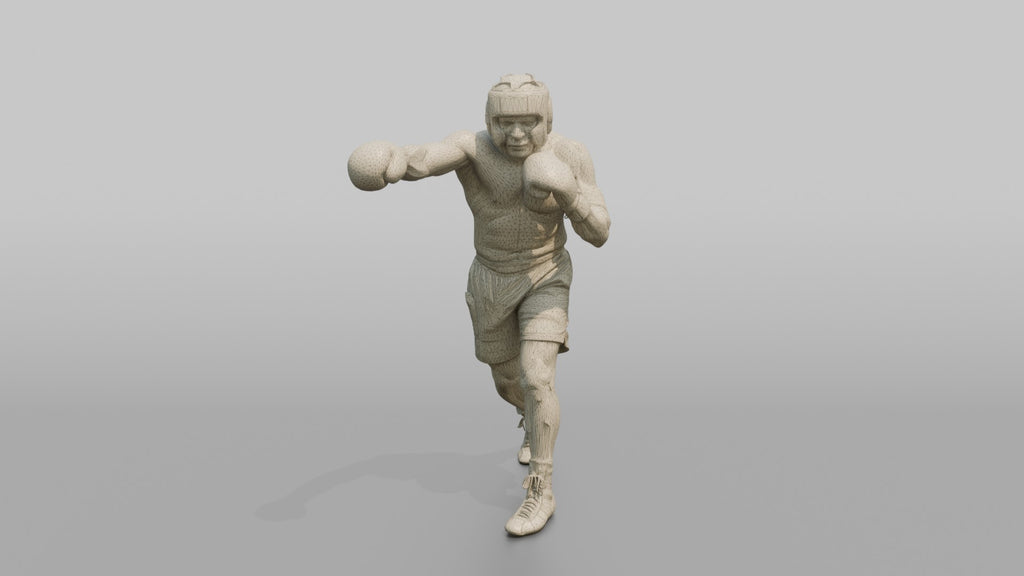 Boxer Measured Left Jab