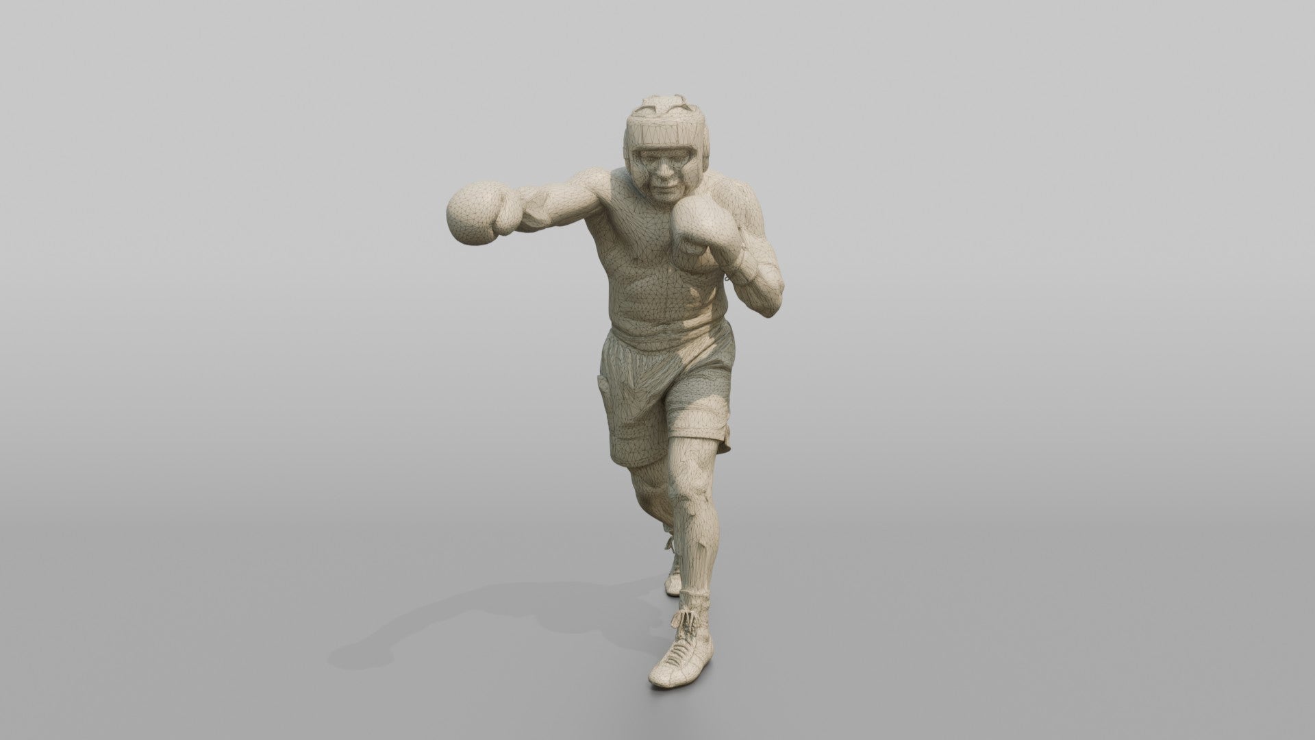 Boxer Measured Left Jab