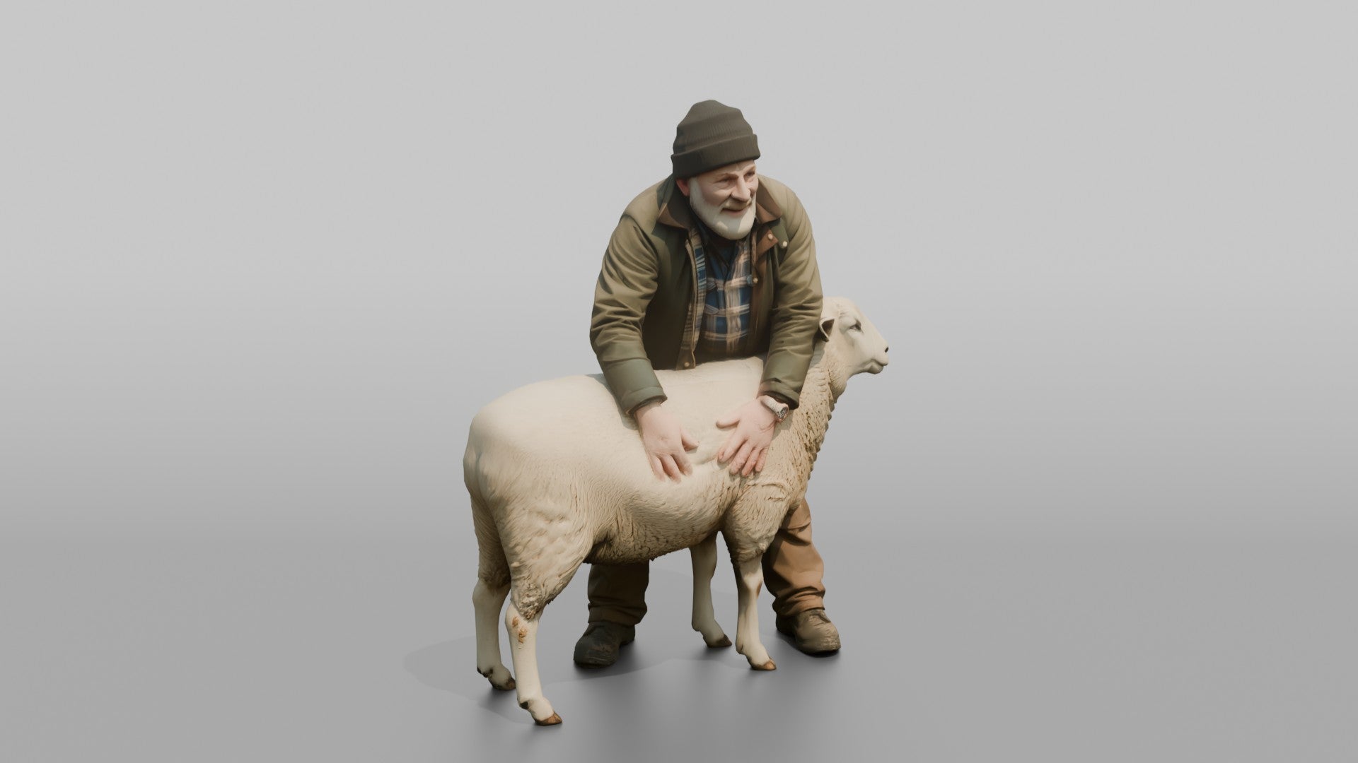 Farmer Checking Sheep's Wool Density