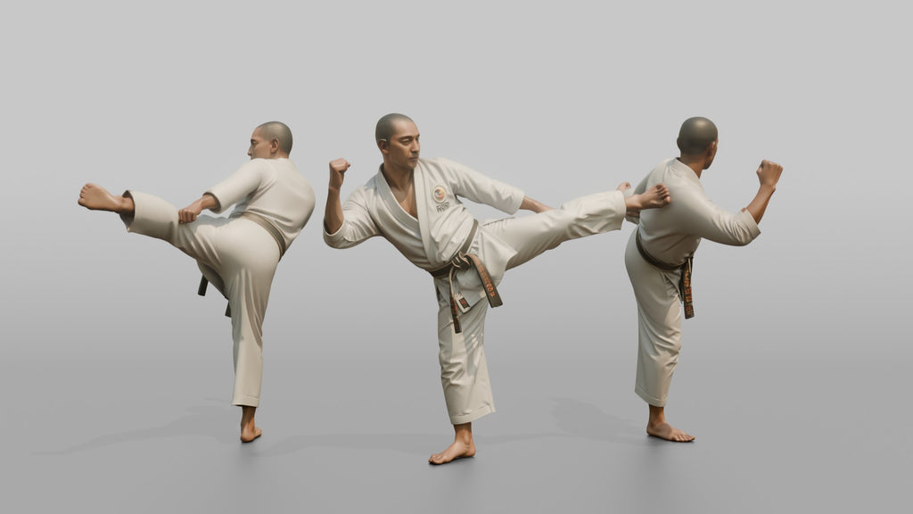 Karate Fighter Spinning Back Kick