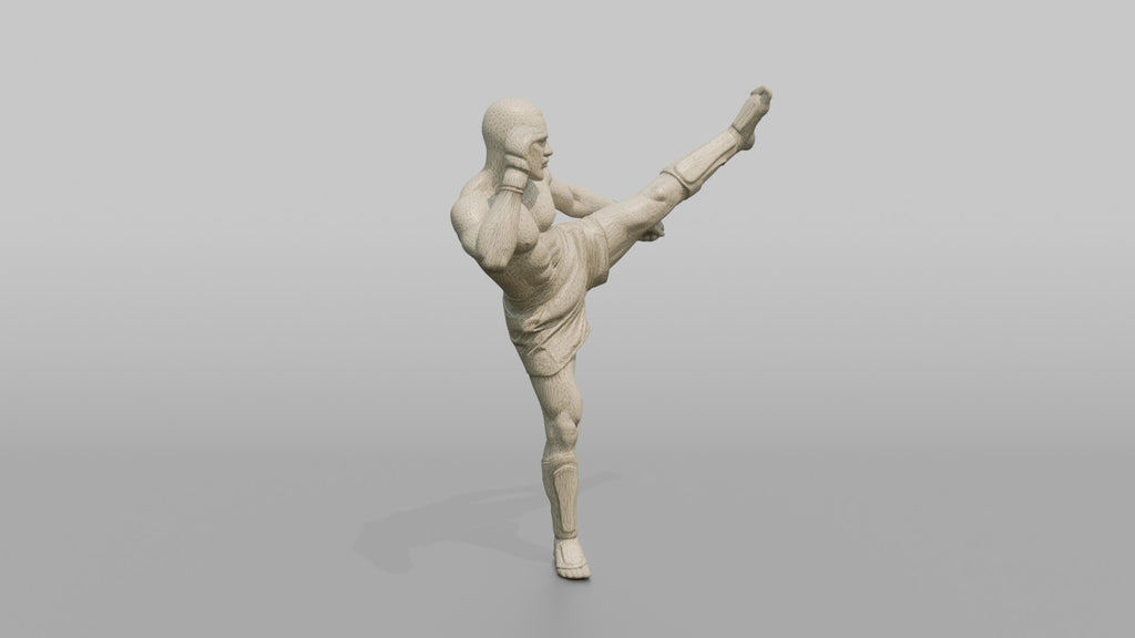 Kickboxer High Roundhouse Head Kick