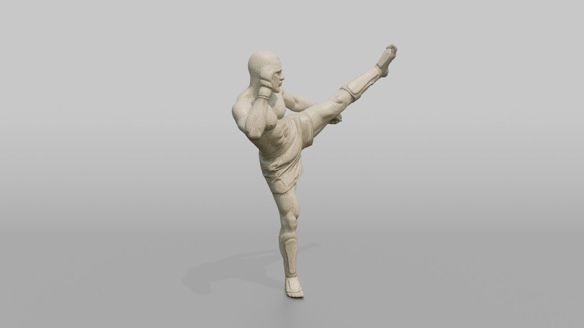 Kickboxer High Roundhouse Head Kick - wireframe topology preview