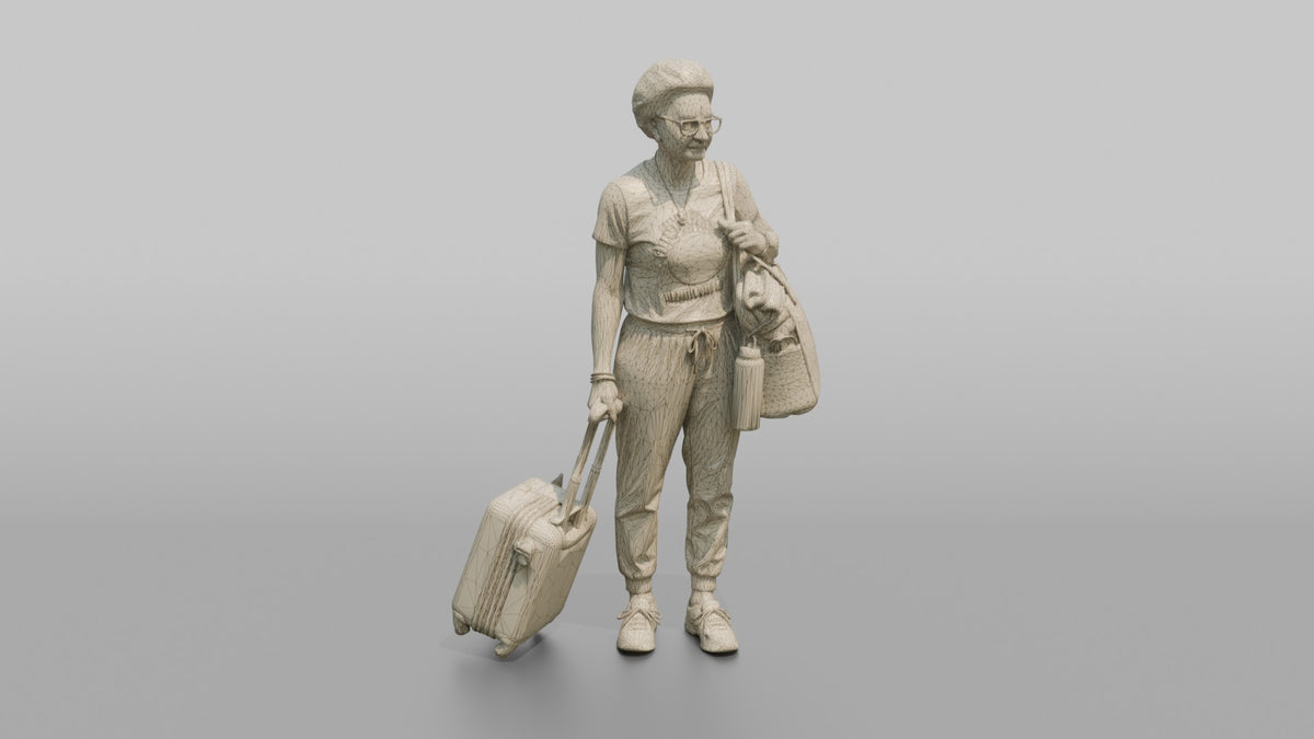 Traveler Holding A Boarding Pass - wireframe topology preview