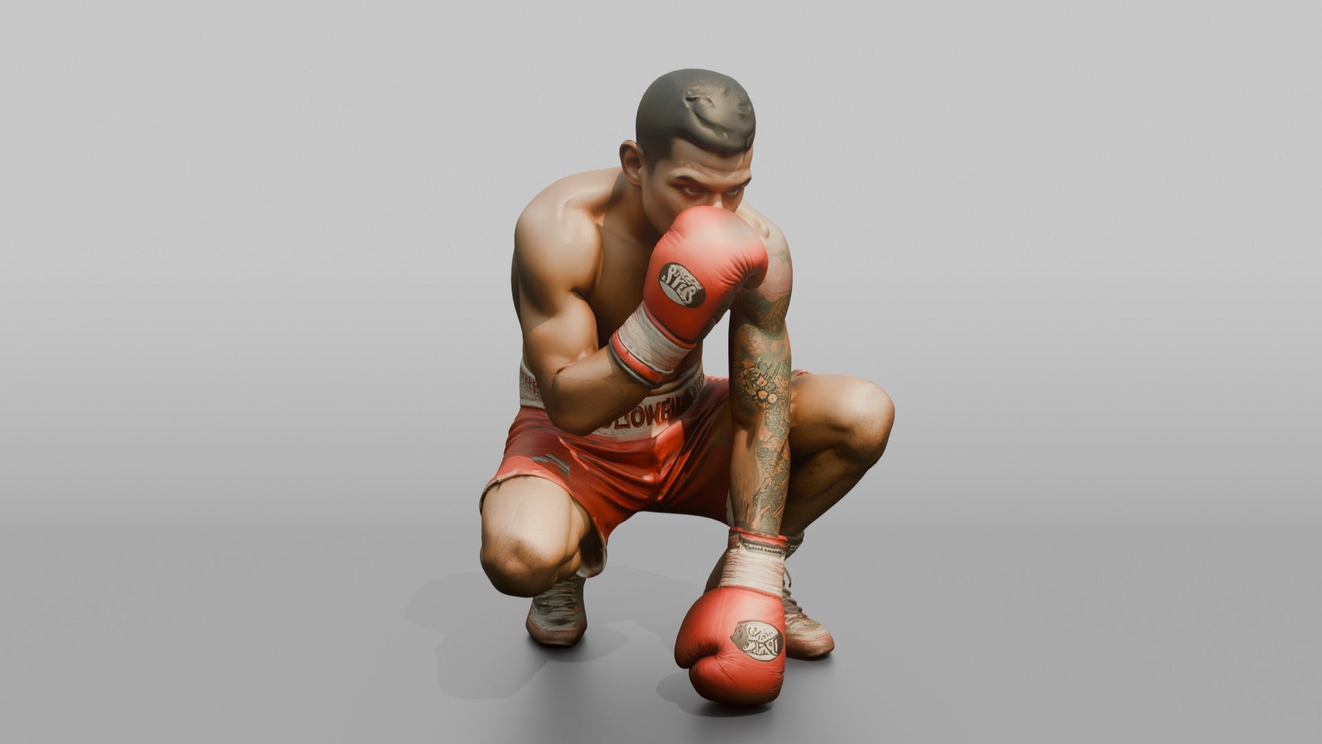 Boxer Peek-a-boo Defensive Guard