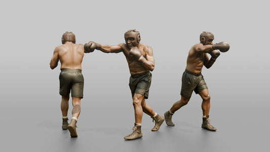 Boxer Measured Left Jab