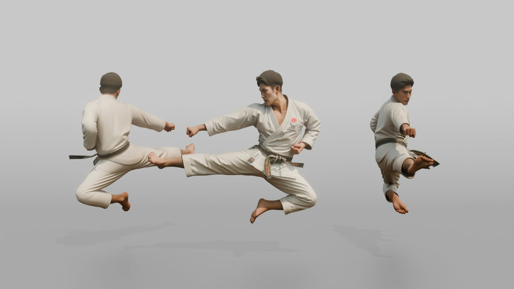 Karate Master Sharp Mid-air Flying Side Kick