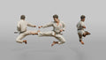 Karate Master Sharp Mid-air Flying Side Kick