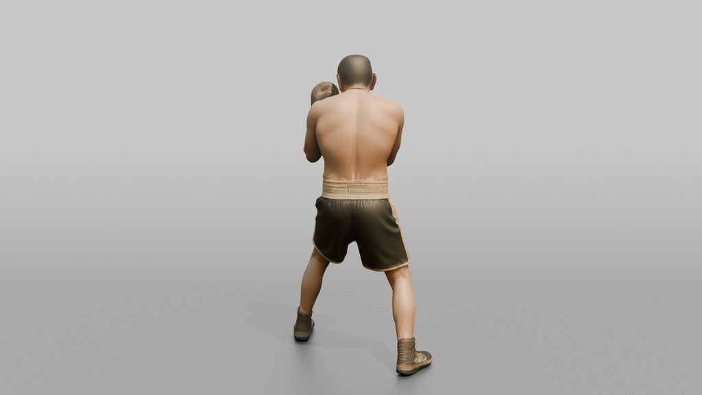 Boxer Tight High-guard Defense Position