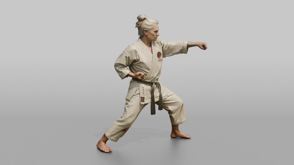 Karate Sensei Explosive Reverse Punch