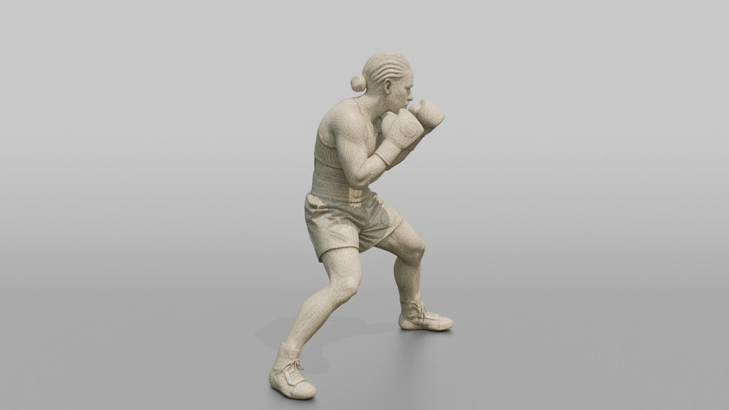 Boxer Heavy Body Hook