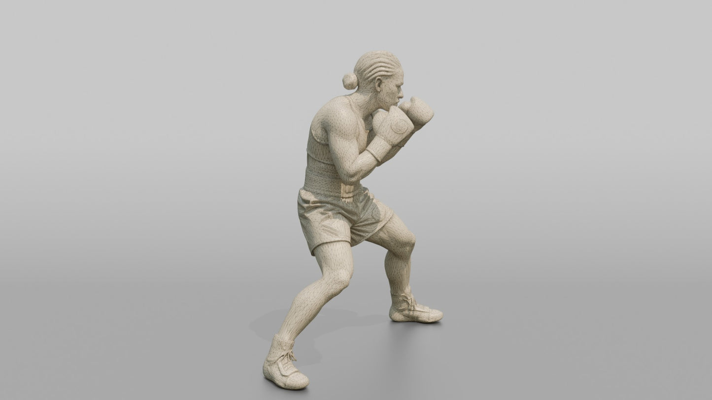 Boxer Heavy Body Hook