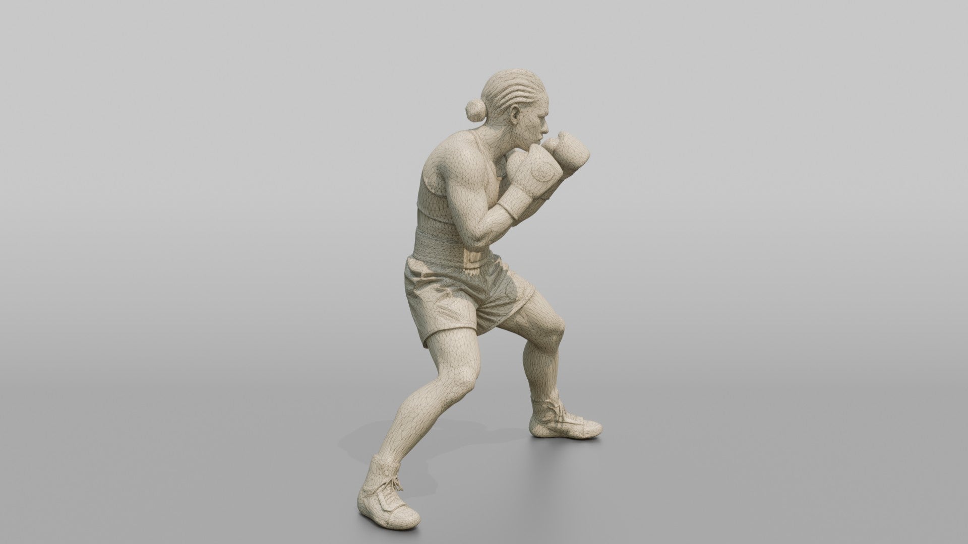 Boxer Heavy Body Hook