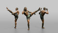 Kickboxer High Roundhouse Head Kick