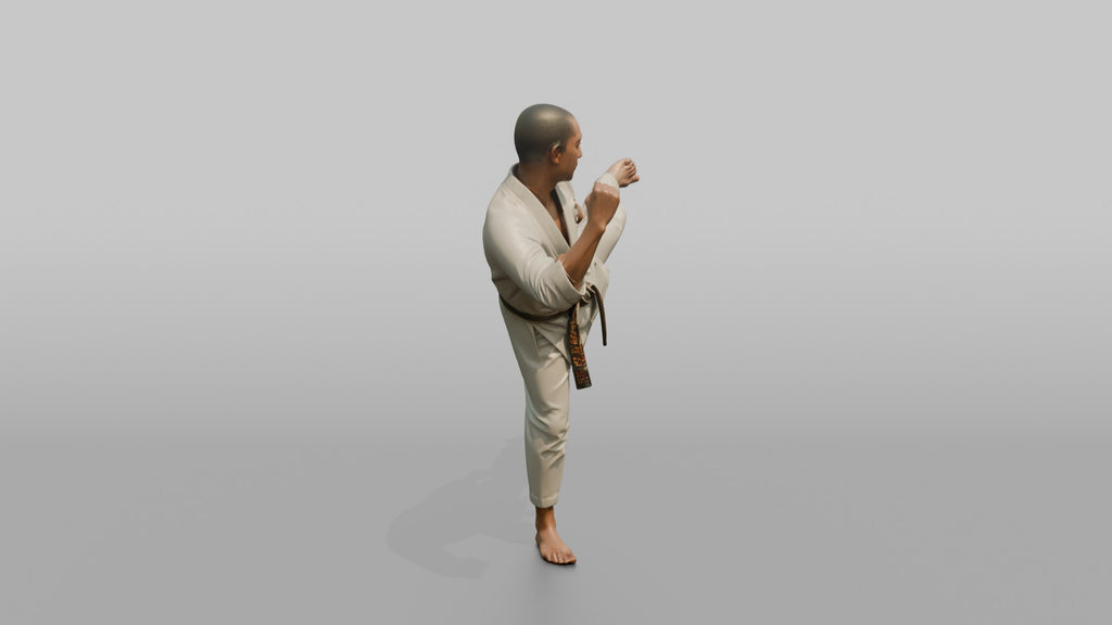 Karate Fighter Spinning Back Kick