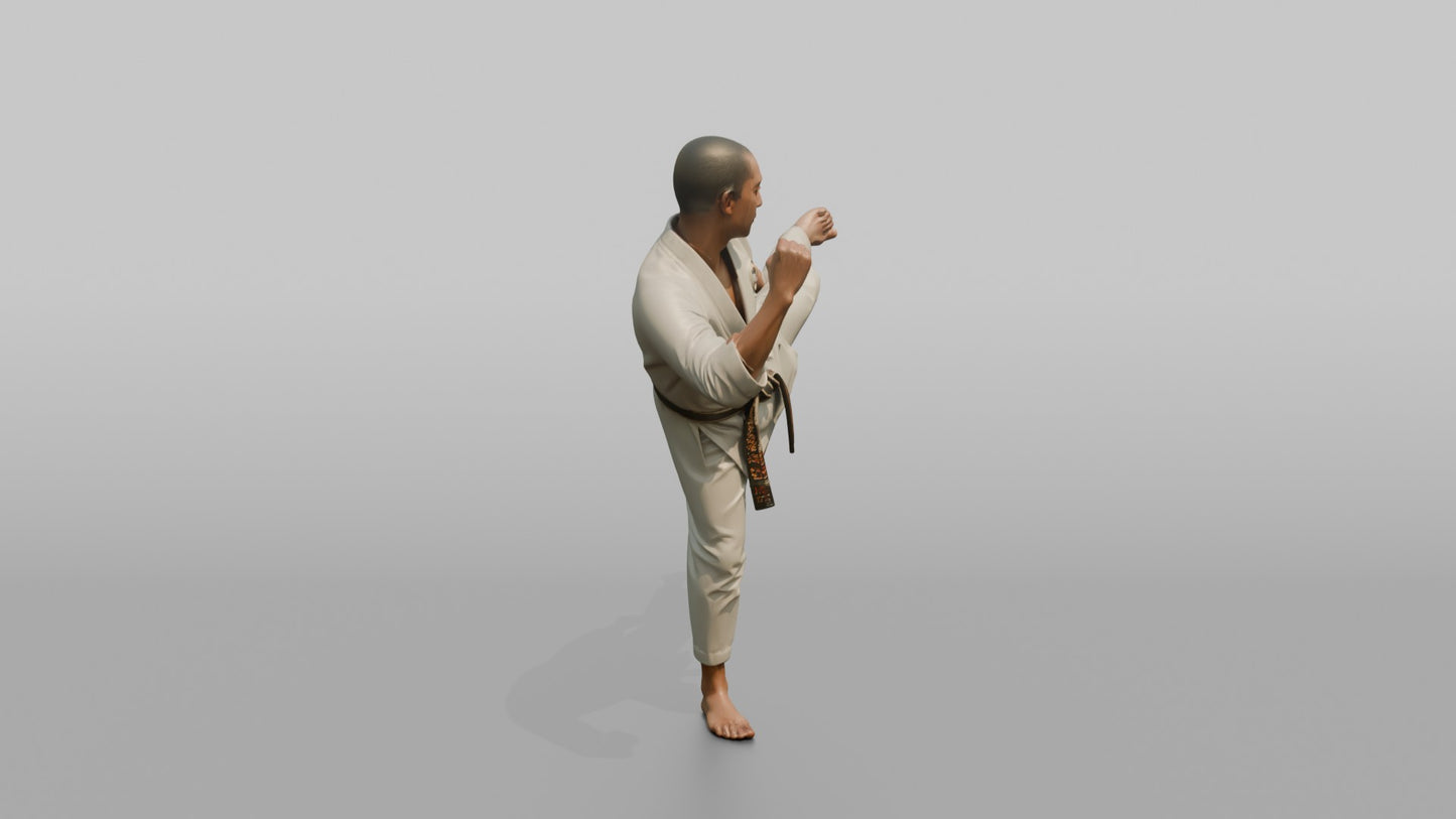 Karate Fighter Spinning Back Kick