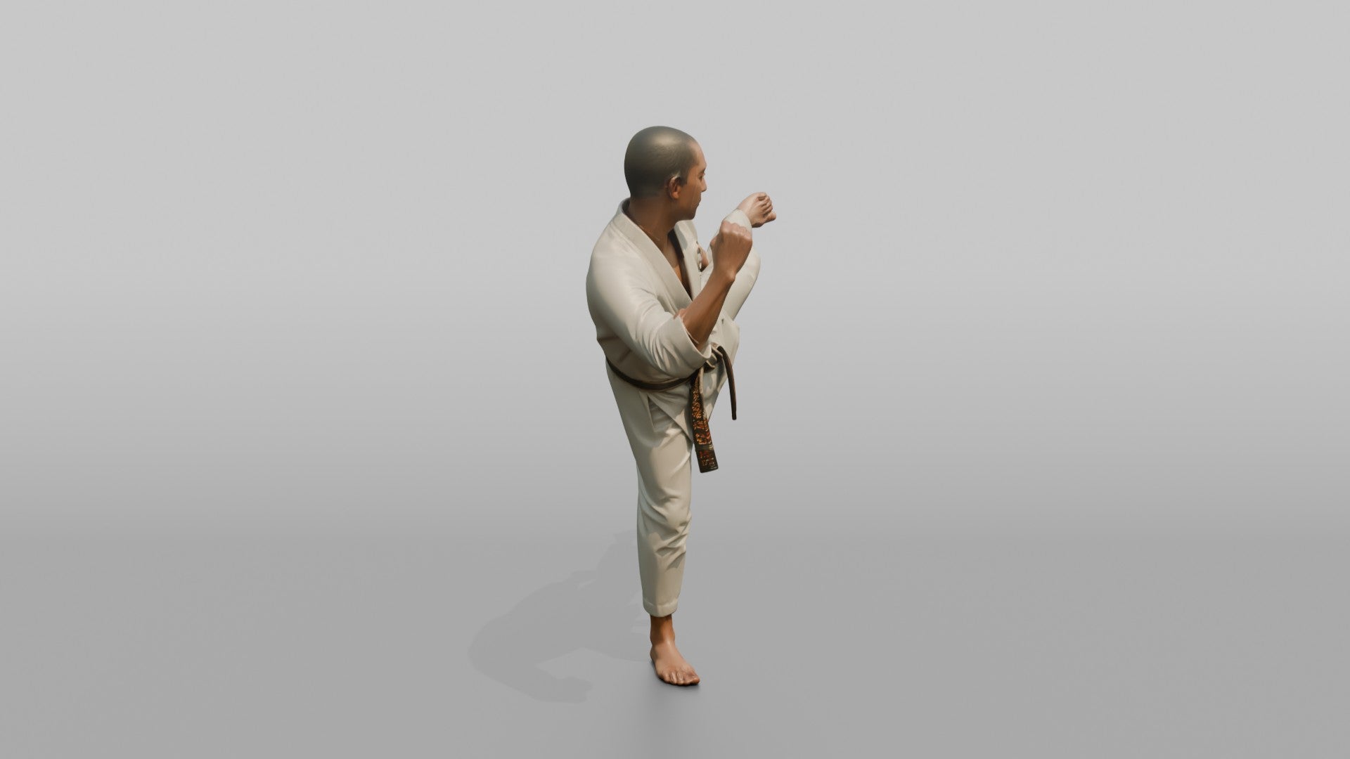 Karate Fighter Spinning Back Kick