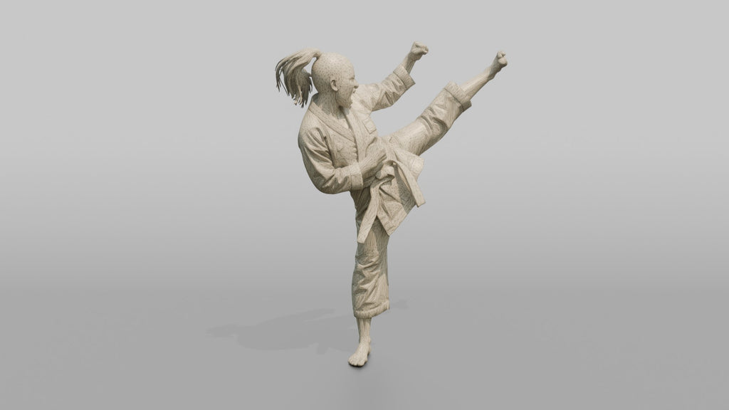 Karate Fighter High Snap Kick