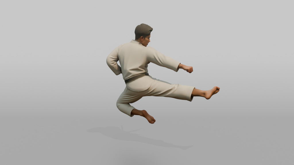Karate Master Sharp Mid-air Flying Side Kick