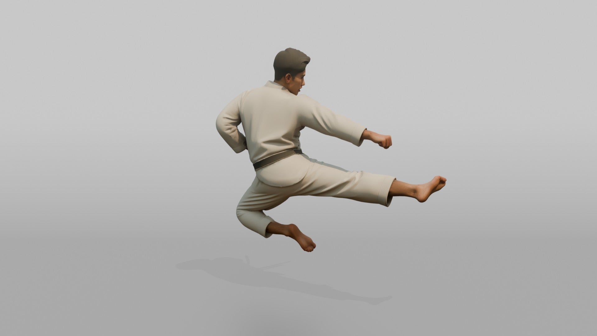 Karate Master Sharp Mid-air Flying Side Kick