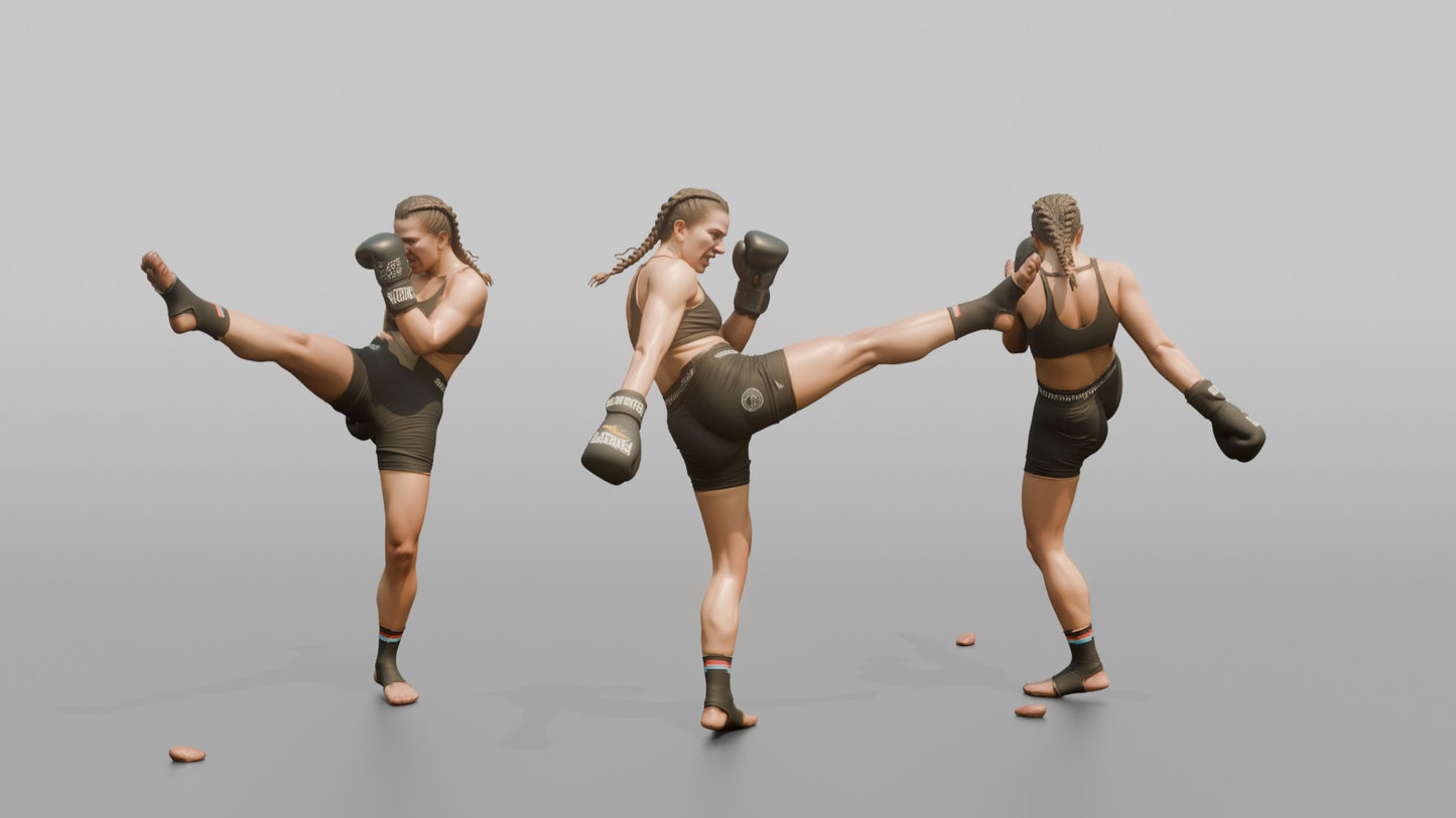 Kickboxer High Front Push Kick