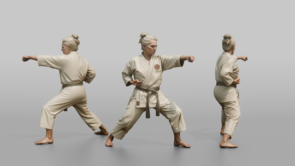 Karate Sensei Explosive Reverse Punch